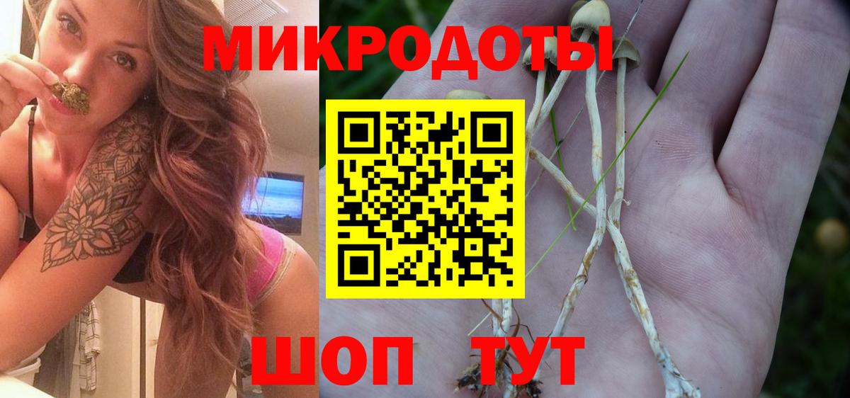 Псилоцибиновые грибы Psilocybe  Вход с VPN  Псилоцибиновые грибы мухоморы  Тосно 