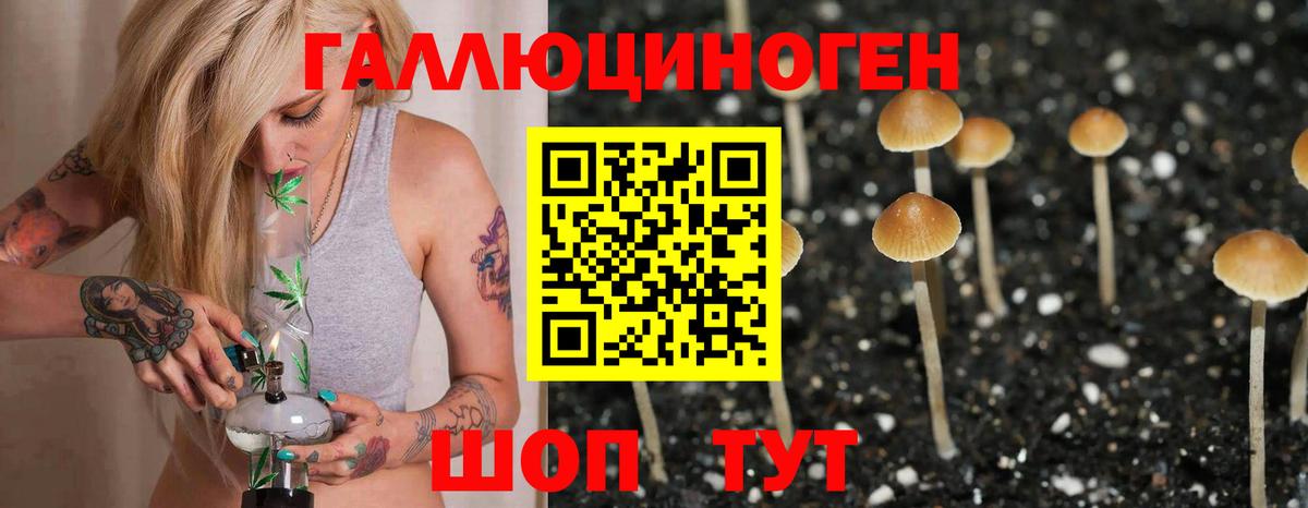 Галлюциногенные грибы Cubensis Тосно